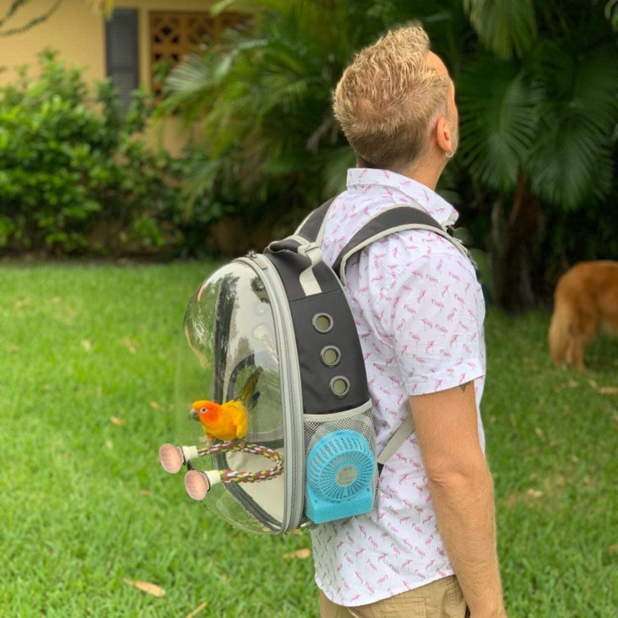 Bird Travel Backpack 🚀🐦 Clear Capsule Carrier w/ Perch, Tray & Vent Holes – Lightweight