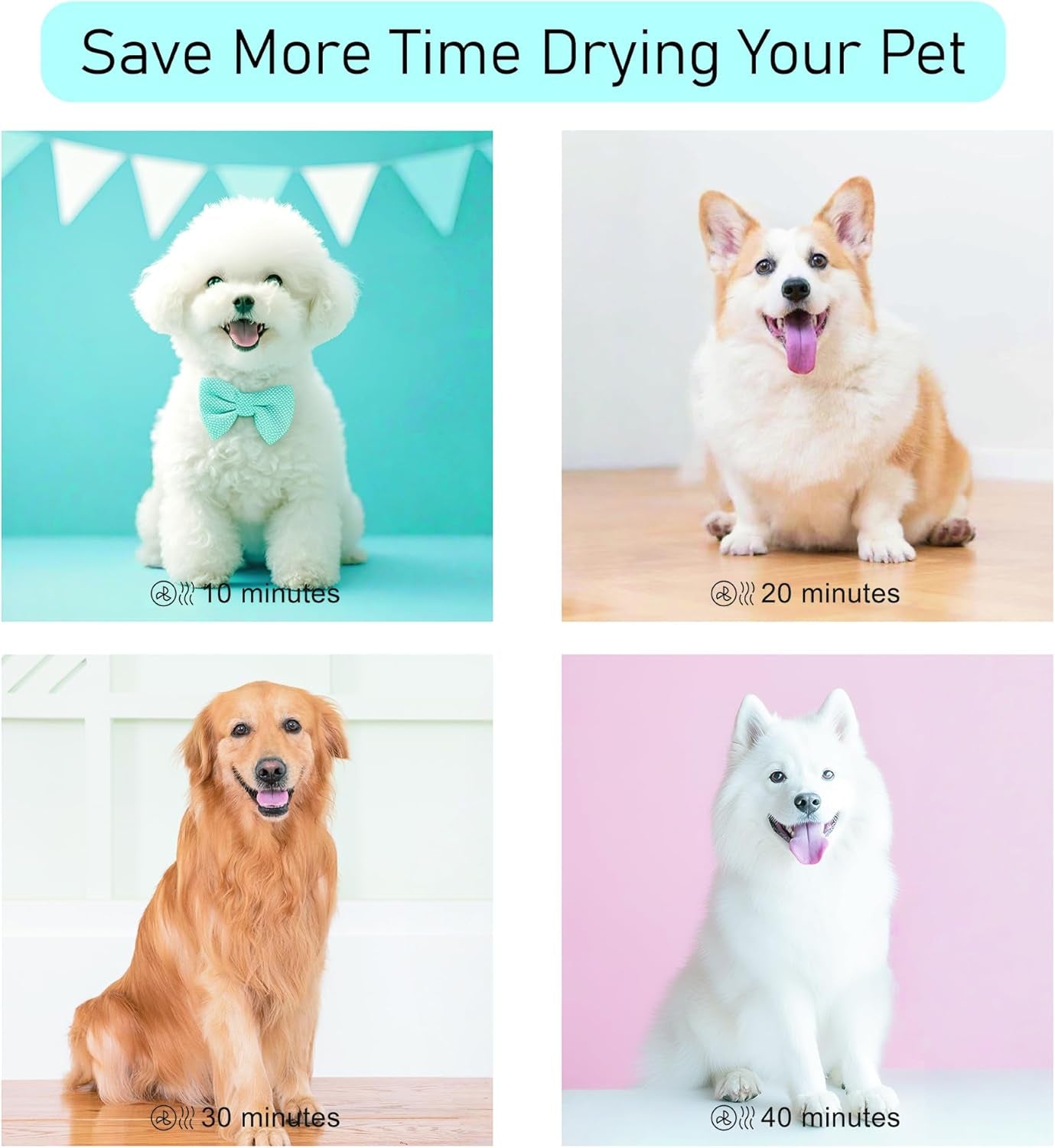 High‑Velocity Pet Dryer 🐾✨ 2400W Adjustable Speed, Low‑Noise, Fast‑Dry Grooming Blower
