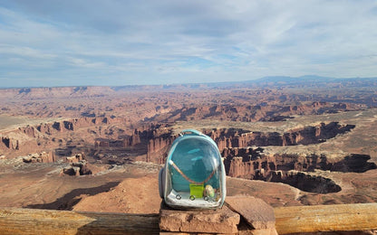 Bird Travel Backpack 🚀🐦 Clear Capsule Carrier w/ Perch, Tray & Vent Holes – Lightweight