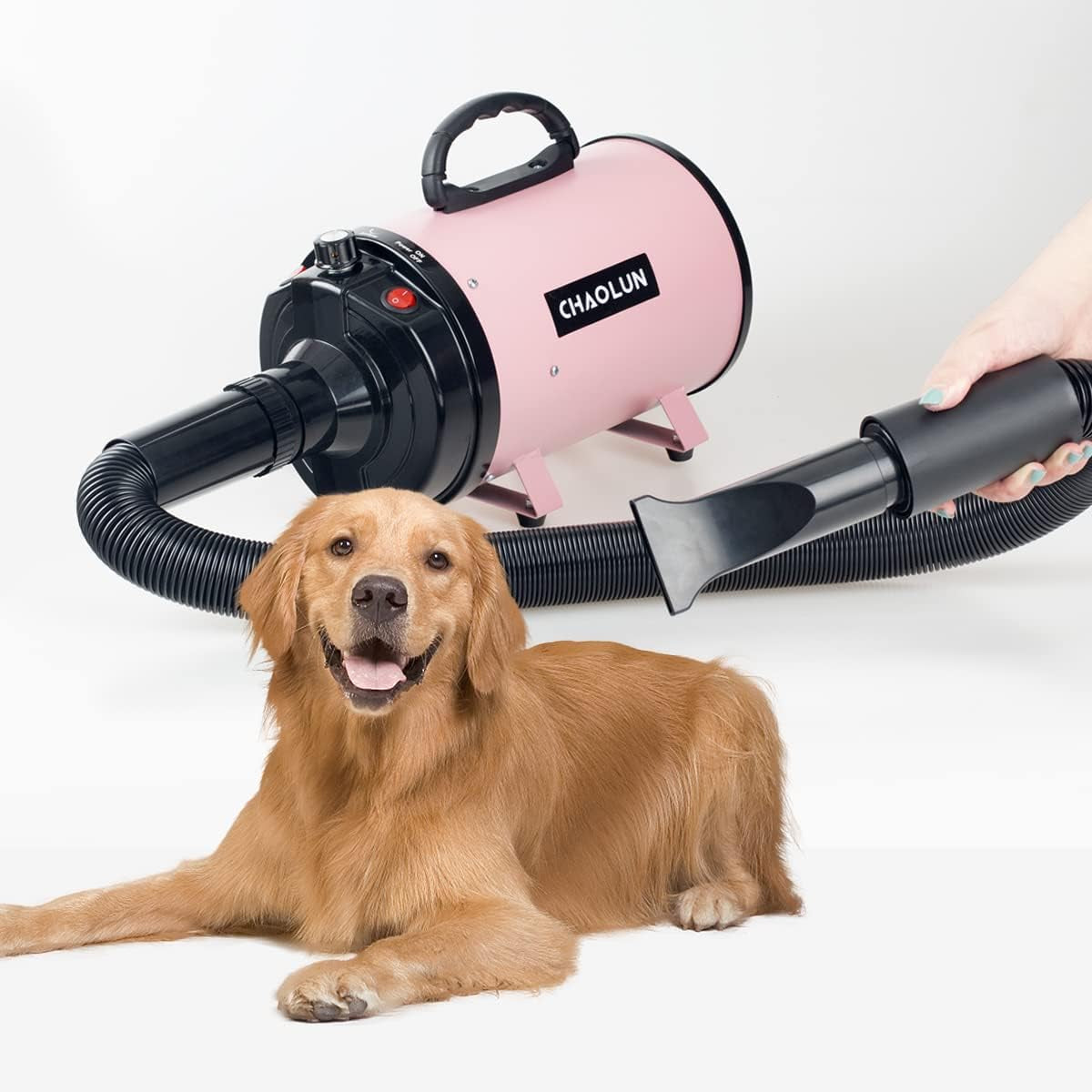 High‑Velocity Pet Dryer 🐾✨ 2400W Adjustable Speed, Low‑Noise, Fast‑Dry Grooming Blower