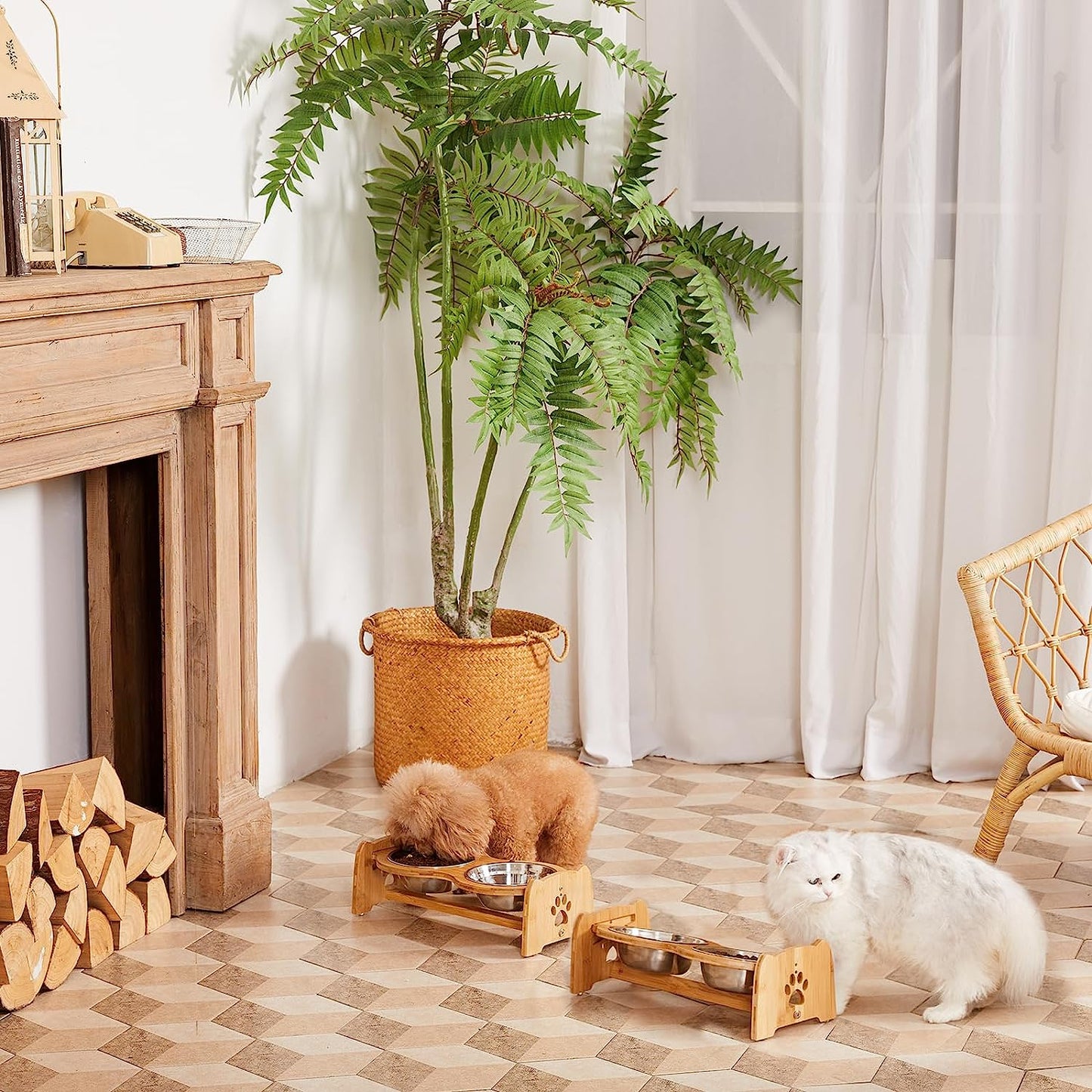 Adjustable Bamboo Elevated Dog Feeder 🐾✨ Non‑Slip, Raised Bowls, Stainless Steel, Digestive‑Friendly