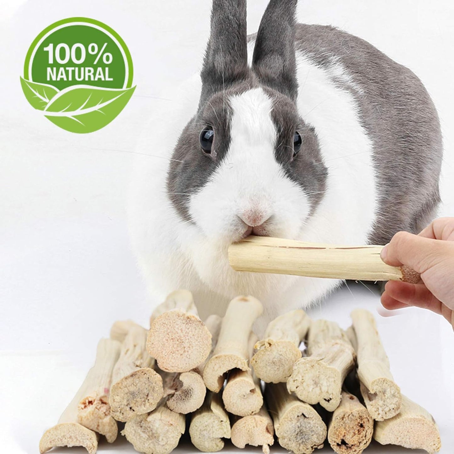 Natural Sweet Bamboo Chew Sticks 🌿🐹 300g Molar Treats for Rabbits, Guinea Pigs & Hamsters