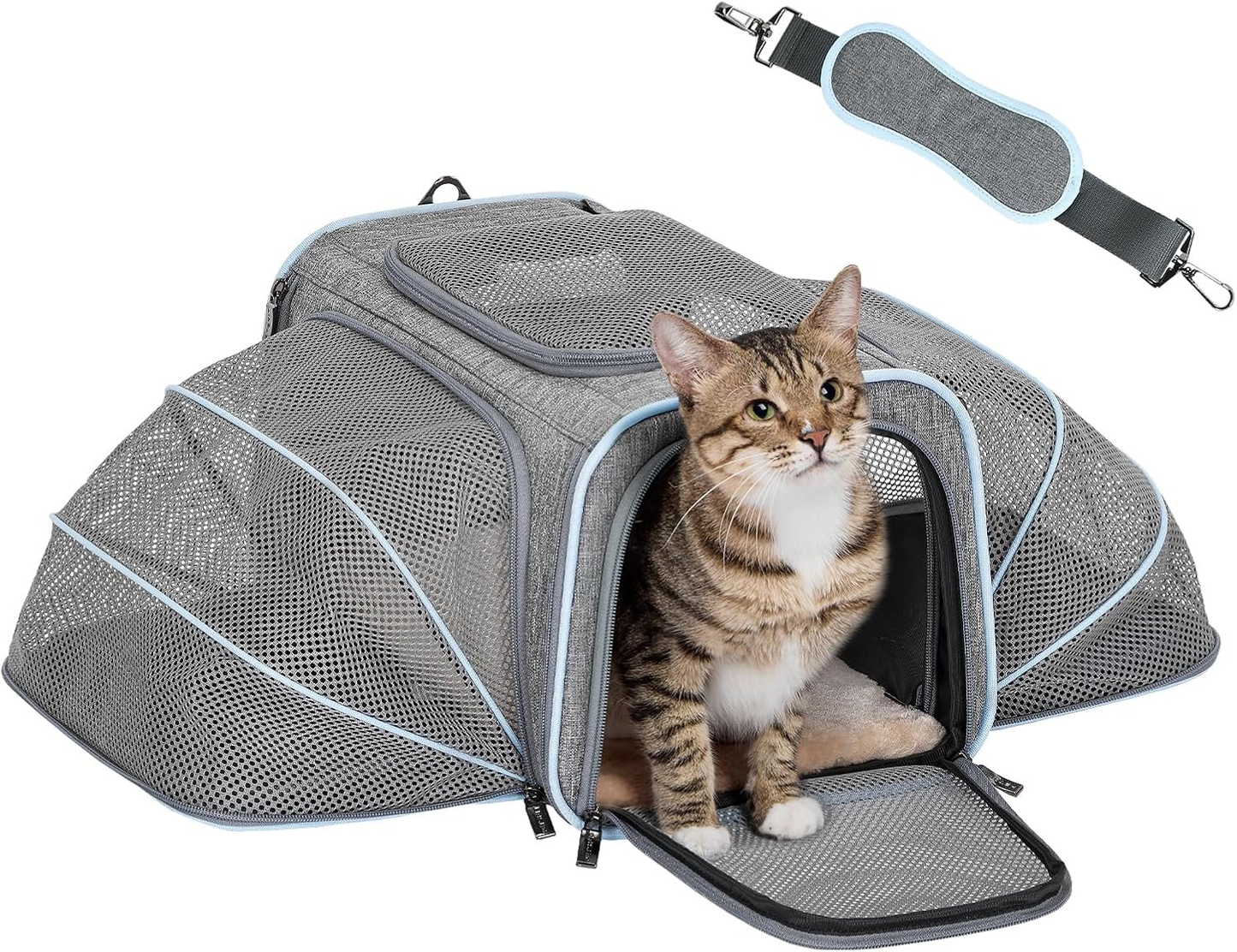 Expandable Airline‑Approved Pet Carrier ✈️🐾 Soft‑Sided Travel Bag for Small Pets