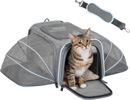 Expandable Airline‑Approved Pet Carrier ✈️🐾 Soft‑Sided Travel Bag for Small Pets