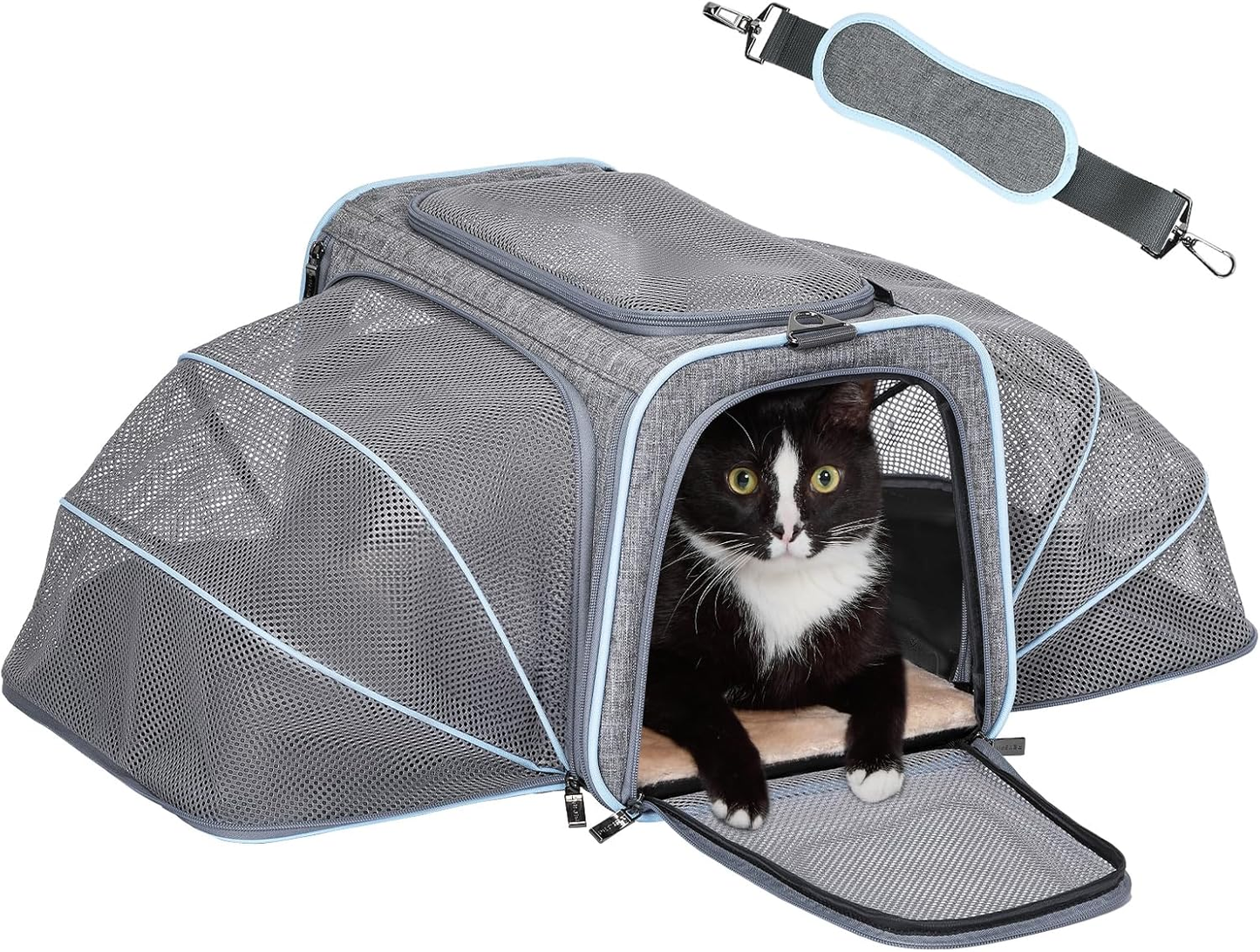 Expandable Airline‑Approved Pet Carrier ✈️🐾 Soft‑Sided Travel Bag for Small Pets