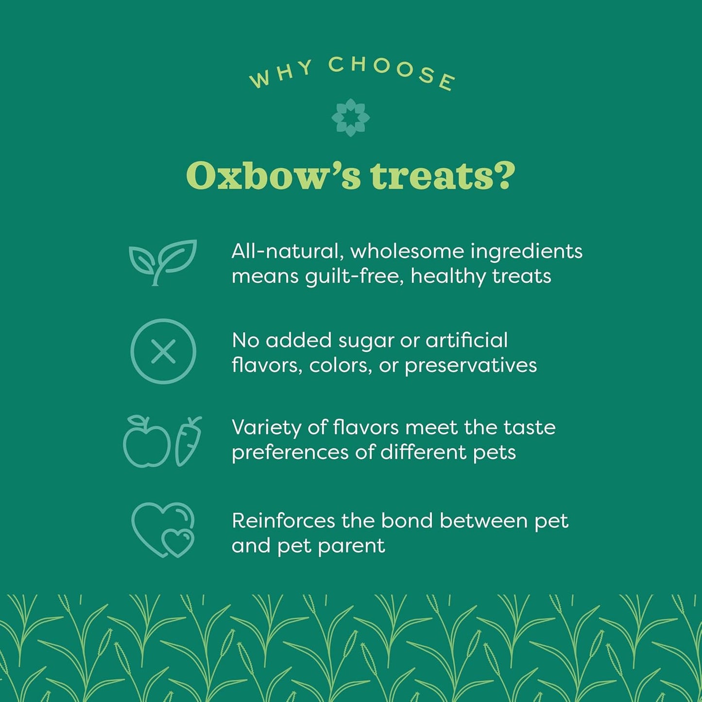 Organic Barley Biscuits 🌾🐹 Apple & Carrot Treats for Rabbits, Guinea Pigs & Hamsters