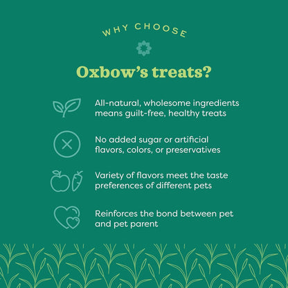 Organic Barley Biscuits 🌾🐹 Apple & Carrot Treats for Rabbits, Guinea Pigs & Hamsters