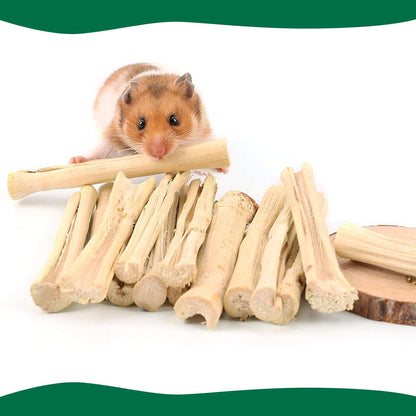 Natural Sweet Bamboo Chew Sticks 🌿🐹 300g Molar Treats for Rabbits, Guinea Pigs & Hamsters