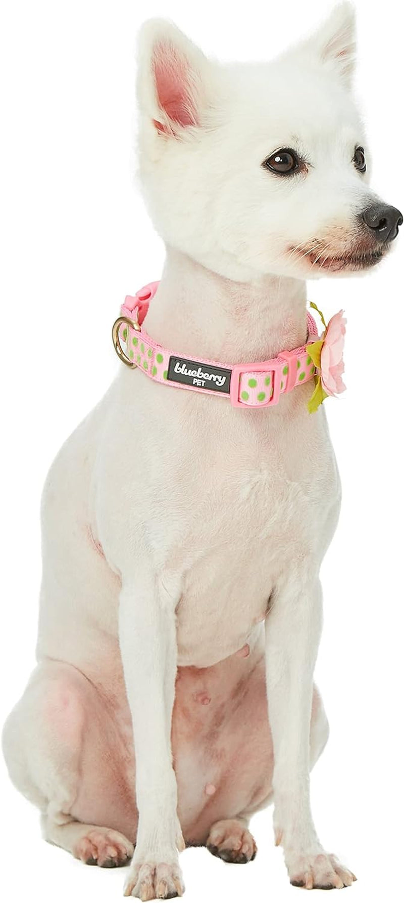 Blueberry Pet Pink Dog Collar 🎀🐾 Adjustable Nameplate Collar w/ AirTag Holder & Flower