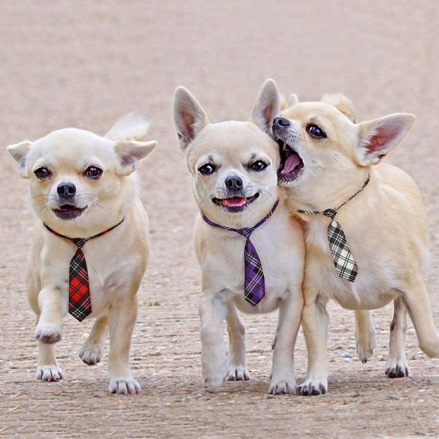10‑Pack Dog Bow Ties 🎀🐾 Adjustable Neck Collars for Medium & Large Dogs & Cats