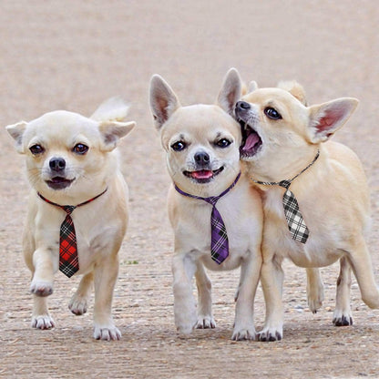 10‑Pack Dog Bow Ties 🎀🐾 Adjustable Neck Collars for Medium & Large Dogs & Cats