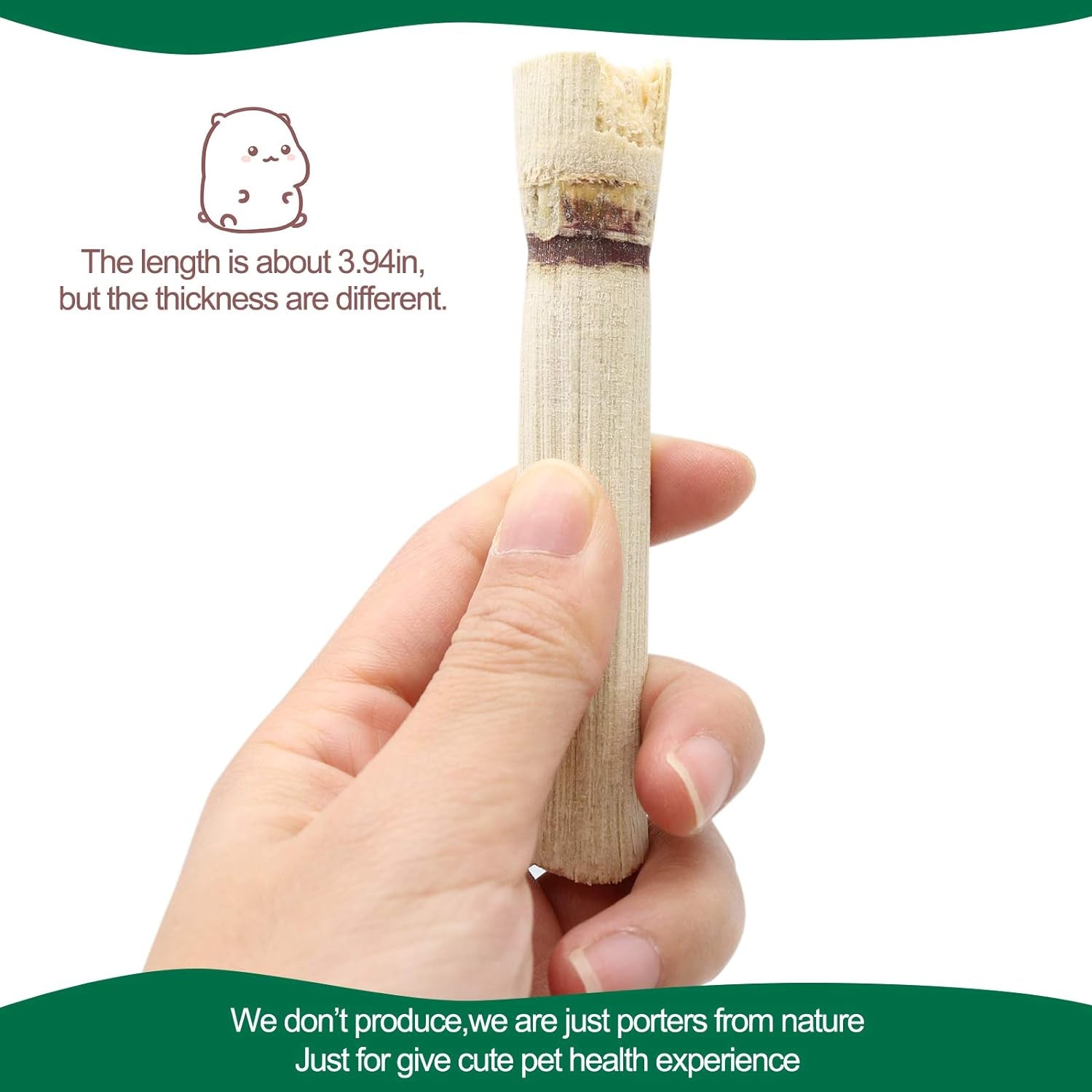Natural Sweet Bamboo Chew Sticks 🌿🐹 300g Molar Treats for Rabbits, Guinea Pigs & Hamsters