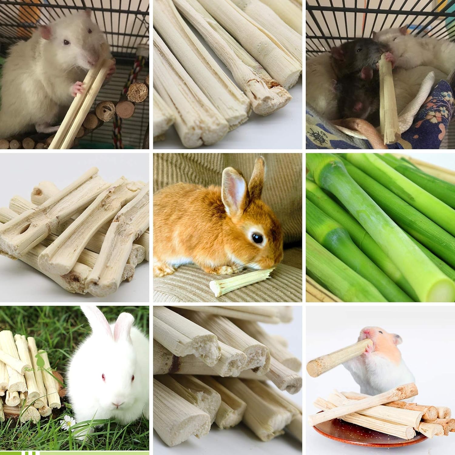 Natural Sweet Bamboo Chew Sticks 🌿🐹 300g Molar Treats for Rabbits, Guinea Pigs & Hamsters