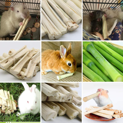Natural Sweet Bamboo Chew Sticks 🌿🐹 300g Molar Treats for Rabbits, Guinea Pigs & Hamsters